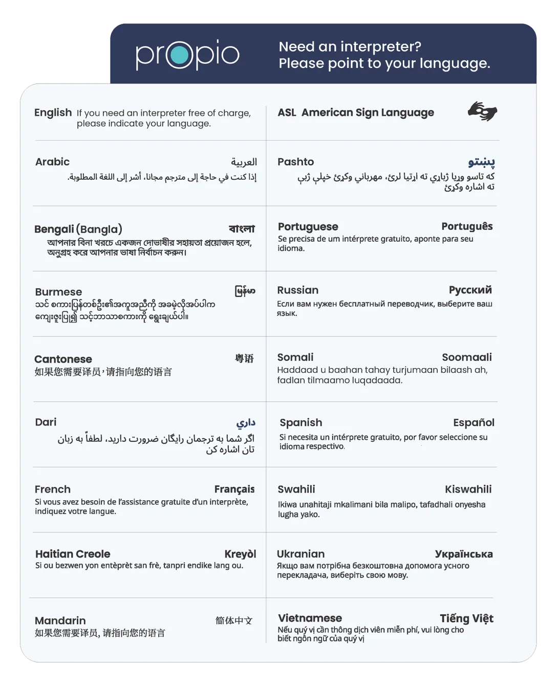Point to Your Language poster